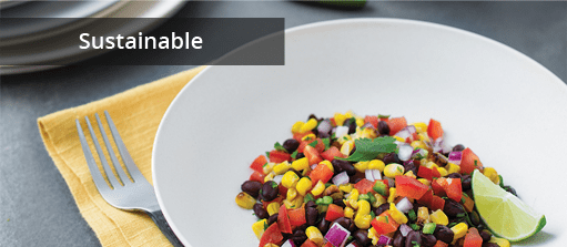 Commercial Sustainable Dinnerware