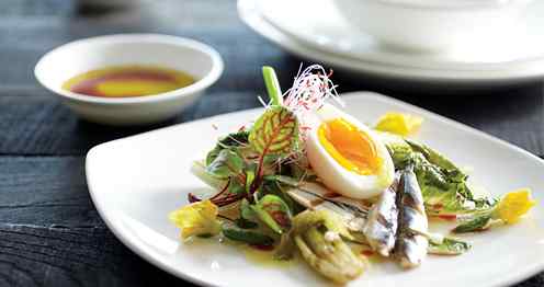 Premier China Dinnerware - Tria Tria China Dinnerware
