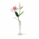 Vases