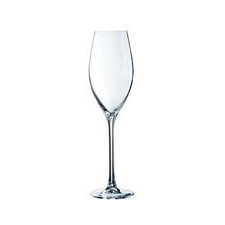 Arc Cardinal Champagne Flute