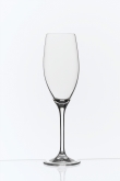 Steelite, Champagne Glass, Edition, 7 3/4 oz