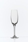 Steelite, Champagne Flute, Edition, 5 oz