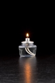 TriMark Professional Series Candle, Disposable Liquid, 10 hr