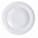 Arcoroc Vintage 10 1/2" dia. Wide Rim Dinner Plate by Arc Cardinal