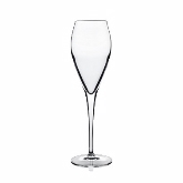 Bauscher (Luigi), Spumante Wine Glass, Atelier, 6 3/4 oz