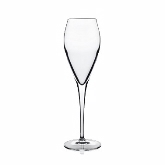 Bauscher (Luigi), Spumante Wine Glass, Atelier, 6 3/4 oz