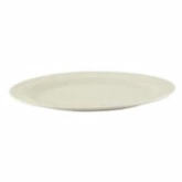 World Tableware, Medium Rim Platter, 13 1/2" x 9 1/2", Endurance, Cream White